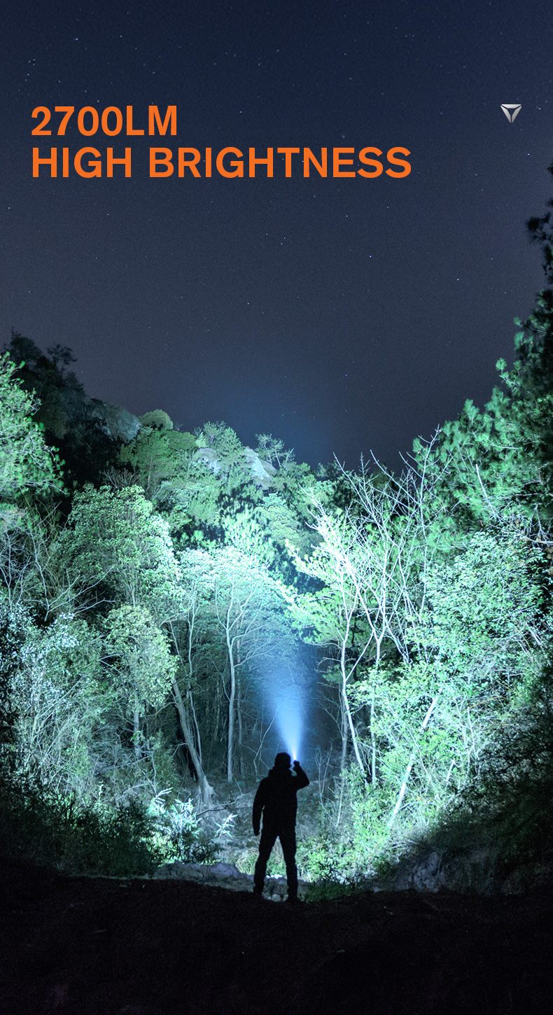 flashlight-dealer-04.jpg