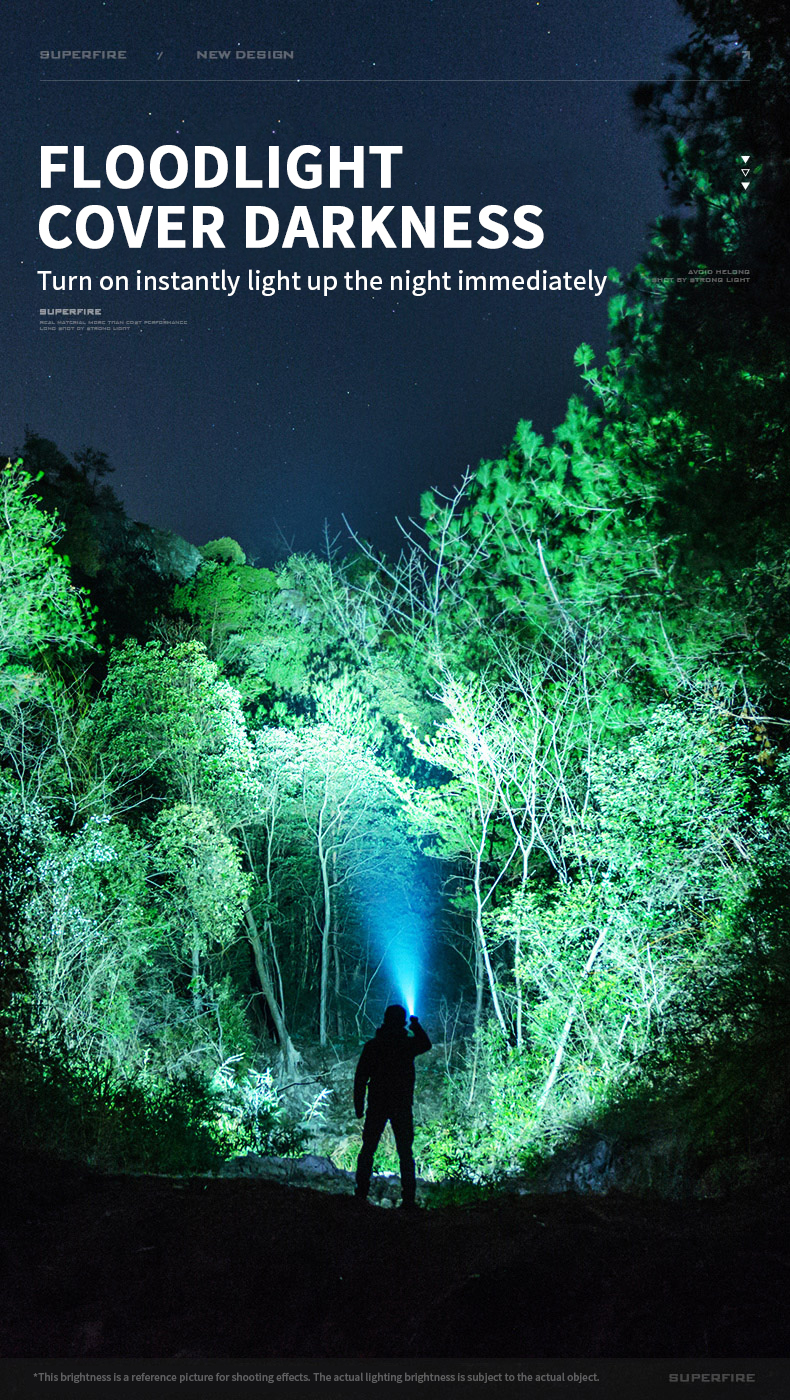 logo-flashlights-06.jpg
