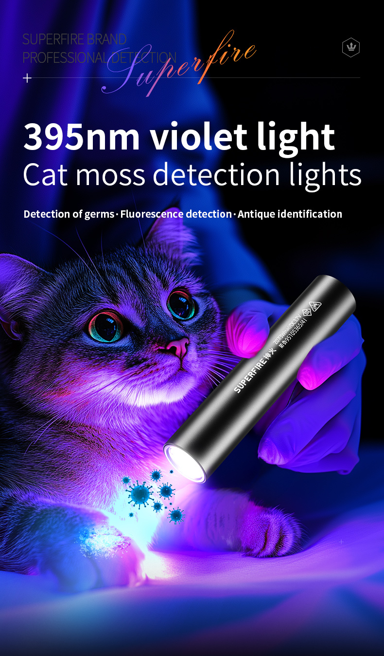 logo-flashlights-001.jpg