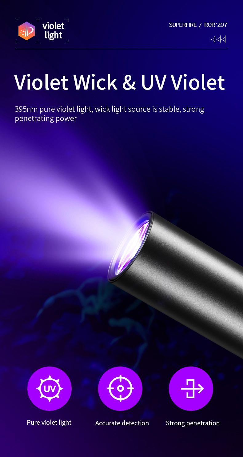 logo-flashlights-003.jpg